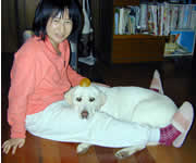 �͂݂ƃ\��(�_�E���E���Ƀ{�[��)