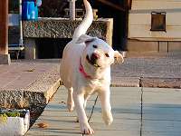 �Ă�ł�����Ċ��ő����Ă���\��