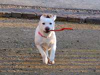 �E������������������đ����Ă���\��