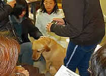 �x�e���Ԃ́A�f�����Ƃ��ӂꂠ���̎���