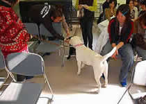 ����ɂȂ��Ă�����đ��тQ