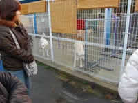 ���ɂ̌��w�������Ă��炢�܂����B�݂�ȂŃ����c�[���Ă܂�