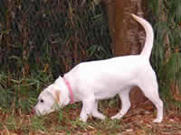 ��������?�h�b�N�����ŁA�����c�[����\��