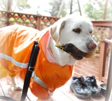 �����̂������킦���\��