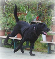 ��ђ��˂�悤�ɑ���Z�������