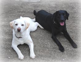 �������������ă_�E������A�\���ƃZ�������