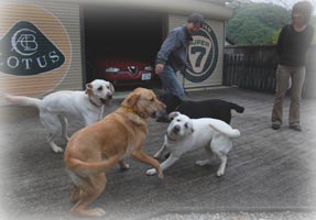 �g�D���[&�z�[�~�[���������4���ŃK�E�K�E���Ă܂� ���͏H������v��