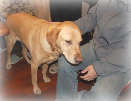 ���肪���������Ă� ���ƂȂ����g�D���[�@����������ӓ���