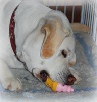 ��D���Ȃ���������s�[�v�[