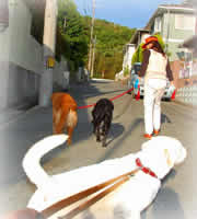 �݂�Ȃł��U���ɍs���܂���