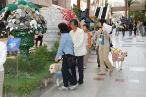 �n�[�o�[�����h�ɂ�