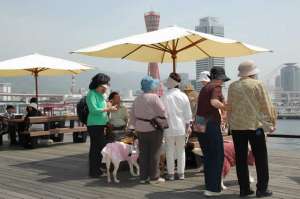 �|�[�g�^���[�𒭂߂Ȃ���