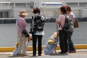 �_�ˍ`�̈ē��𕷂��܂���