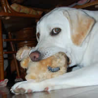 �ʂ�����݂𖞑������Ɋ��ŁA�J�����ڐ��̃\��