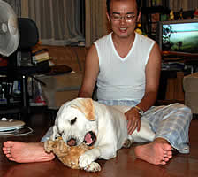 �����ŁA�ʂ�����݂����ރ\��