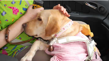 �t�N�����ł�