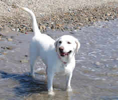 �C�ɑ������ĉ��𒭂߂Ă܂�