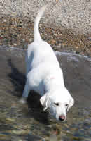 �C�ɂ��[���Ɠ����čs���܂�