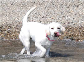 ��Ȃ߂���A���h��?