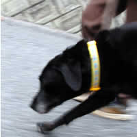 �u���b�L�[�@�J����������Ă��ꂢ�Ɏ��܂���ł����B���߂��