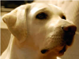 ��������A�~������[