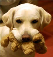 �˂��˂��A�V��Ł[