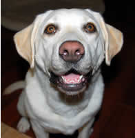 �n�A�n�A�������������āA�U���Ă܂�