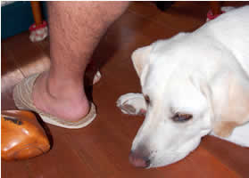 �C�X�Ƒ��̊Ԃɐ��荞��ł��āA�����Ă���̂�҂��Ă܂�