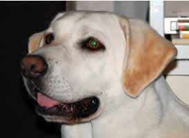 �΂���?�̃\��