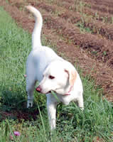 �����n�~�n�~����\��