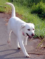 �t���[�ő����Ă���\��