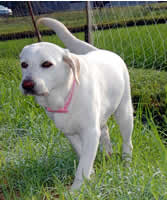 Come ���̊�͌������A�ӓ����ɐ���邩��!!