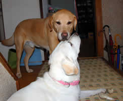 ����l�̂�[����TRUE