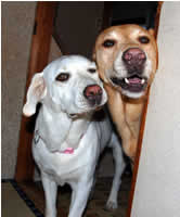 �l�G�l�G�ǂ������́[�@�\���@�܂�������݂�������[�@TRUE�@