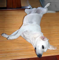 �w�\�V�Œ��Q����\��