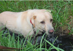 �o�V���o�V�����̒�������܂���