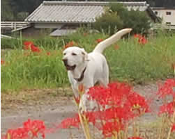 �ފ݉Ԃ̊Ԃ��y�������ɑ����Ă܂�