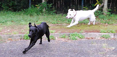 �Z��������ǂ������Ď���