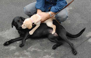 Z�ىE�������ƃZ�������