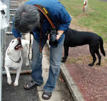 PW�p�p�ɊÂ���\��