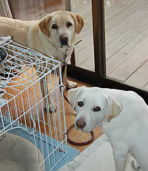 ���r�[�N�ƃc�[�V���b�g