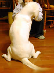 M���J�r�����