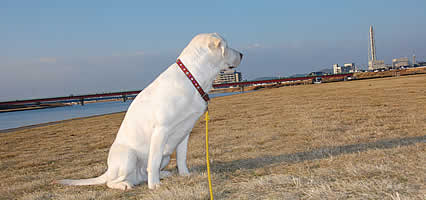 �͌���w�ɁA�ڐ��̐�͍����u����񂪁E�E�E