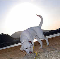 ������w�ɃN���N��