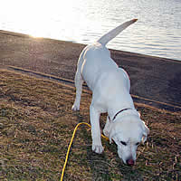 ���ނ���N���N��