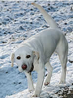 ��̏���y���������܂���