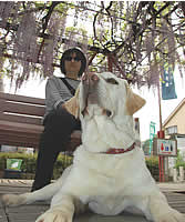 藤棚の下でダウン