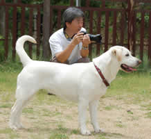 PW�p�p�ƃ\���̃c�[�V���b�g