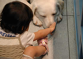 �@���Ȃ��Ȃ����Ă�����ċC�����悳�����[