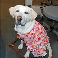 �ˁ[���낻��A�����c�[�̎��Ԃł���[���đi����\��